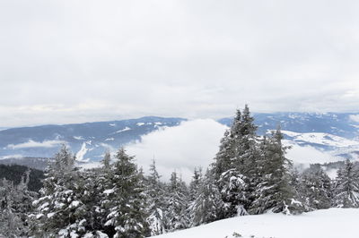 Scenic view of snow covered mountains against sky