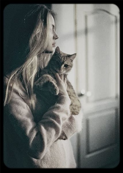 pets, indoors, domestic animals, transfer print, one animal, animal themes, mammal, auto post production filter, domestic cat, home interior, cat, sitting, dog, lifestyles, portrait, looking away, leisure activity