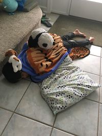 High angle view of stuffed toy on floor at home