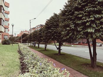 Trees and plants in city against clear sky