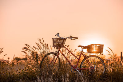 Bicycle parked amidst plants on field against clear sky during sunset