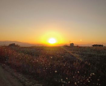 Scenic view of field against clear sky during sunset