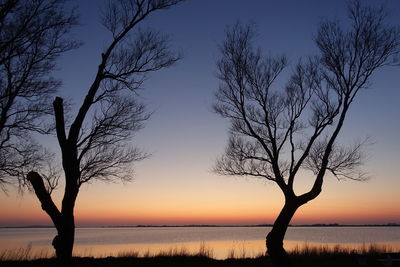 Silhouette bare tree against sky during sunset