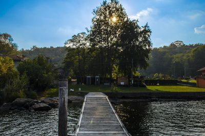 Scenic view of trees against sky