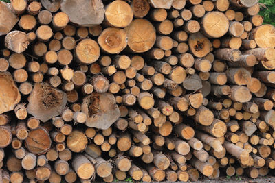 Full frame shot of logs in forest