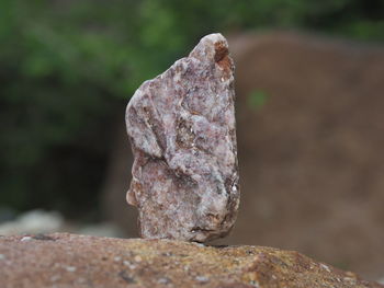Close-up of stone on rock