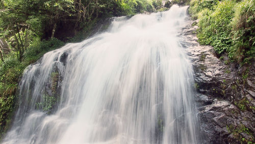 View of waterfall in forest