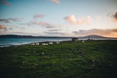 Scenic view of sea against sky