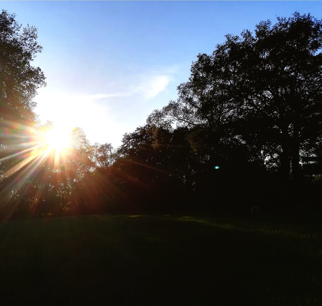 sky, tree, plant, sunlight, sun, lens flare, sunbeam, sunset, beauty in nature, tranquil scene, tranquility, nature, silhouette, land, growth, scenics - nature, no people, field, non-urban scene, outdoors, bright, streaming, brightly lit, solar flare