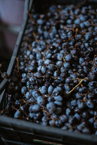 Close-up of roasted coffee beans