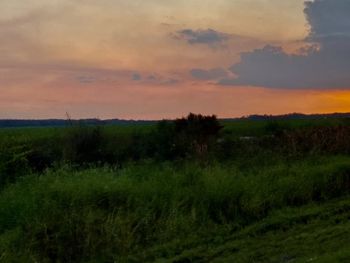 Scenic view of field against sky during sunset