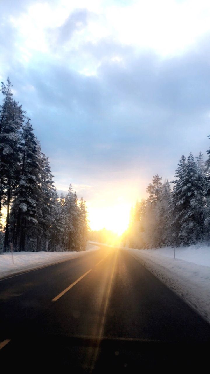 road, car, tree, transportation, the way forward, sunset, mode of transport, sunlight, sky, car interior, nature, sun, no people, land vehicle, outdoors, sunbeam, cloud - sky, beauty in nature, day