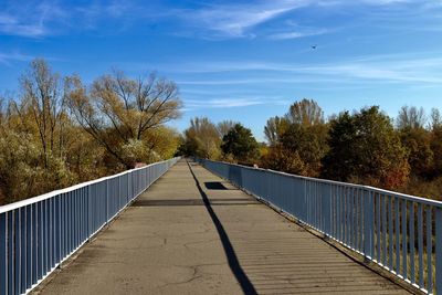 Narrow footbridge along plants and trees against sky