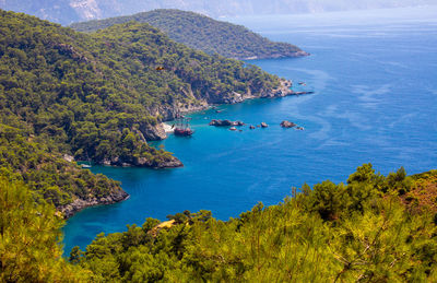 High angle view of bay and trees