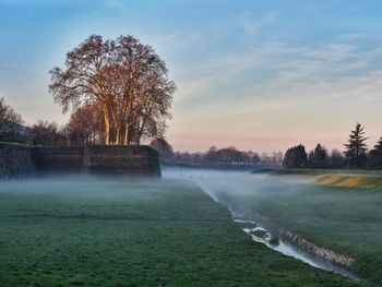 Scenic view of field against sky during foggy weather