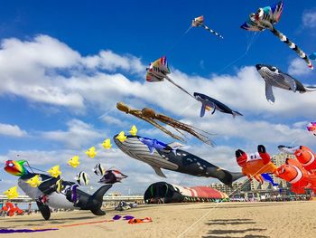 Low angle view of birds flying against sky