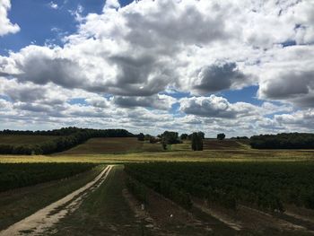 Scenic view of agricultural field against sky