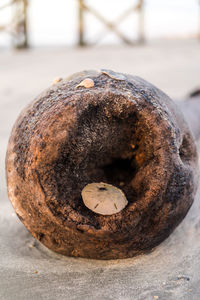Close-up of bread