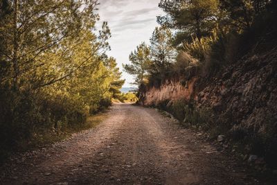 Road amidst trees against sky during autumn