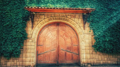 Closed door of wooden door