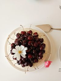 High angle view of berries on table