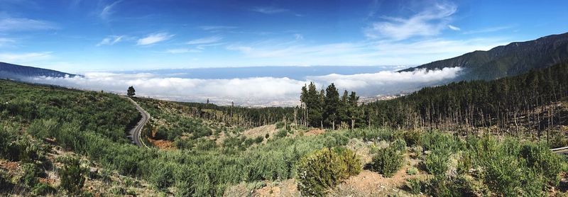 Scenic view of landscape against cloudy sky