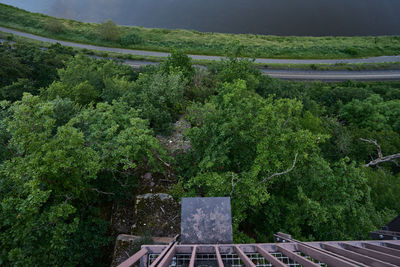 High angle view of trees and plants against sky
