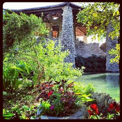 Close-up of potted plant
