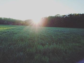 Scenic view of grassy field against sky