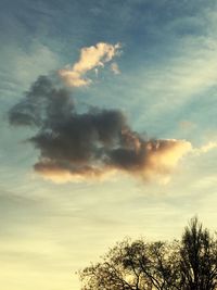 Low angle view of tree against sky during sunset