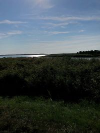 Scenic view of land against sky