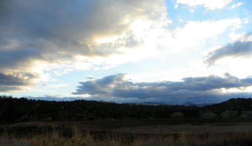 Scenic view of field against sky