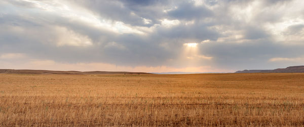 Scenic view of field against sky