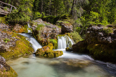 Scenic view of waterfall in forest