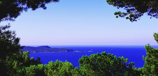 Scenic view of sea against clear blue sky