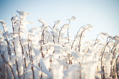 Close-up of snow on land against sky