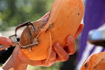 Close-up of hand holding sweet potato 