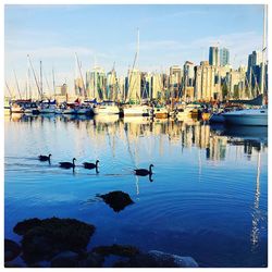 Boats moored at harbor