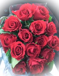 Close-up of red roses