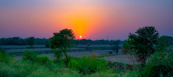 Scenic view of trees against sky during sunset