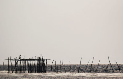 Wooden structure in sea against clear sky