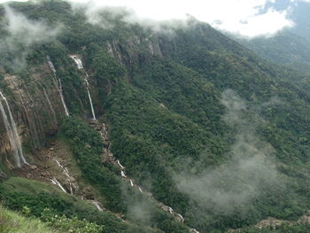 High angle view of plants growing on land