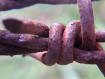 Close-up of rusty metal