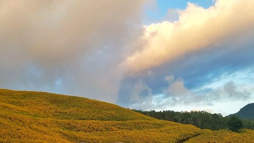 Scenic view of rainbow against sky