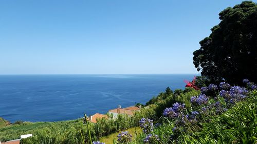 Scenic view of sea against clear sky