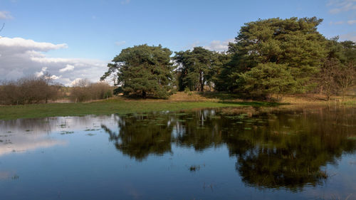 Reflection of trees in lake against sky