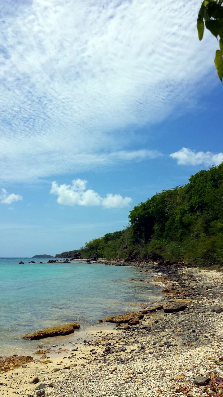 water, sea, sky, beach, tranquil scene, tranquility, scenics, beauty in nature, shore, nature, tree, cloud - sky, horizon over water, cloud, idyllic, sand, coastline, cloudy, outdoors, day