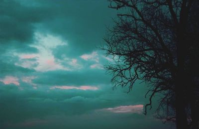 Low angle view of bare trees against cloudy sky