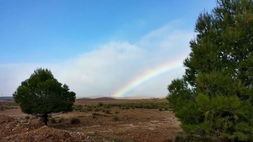 Scenic view of rainbow over field against sky