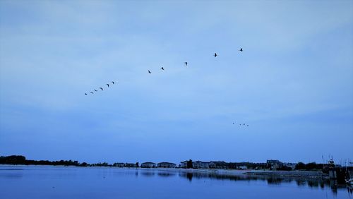 Birds flying over lake against sky